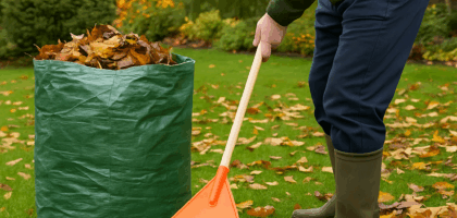 Nottingham gardening leaves raking image